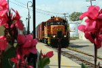 Monticello Railway Musum